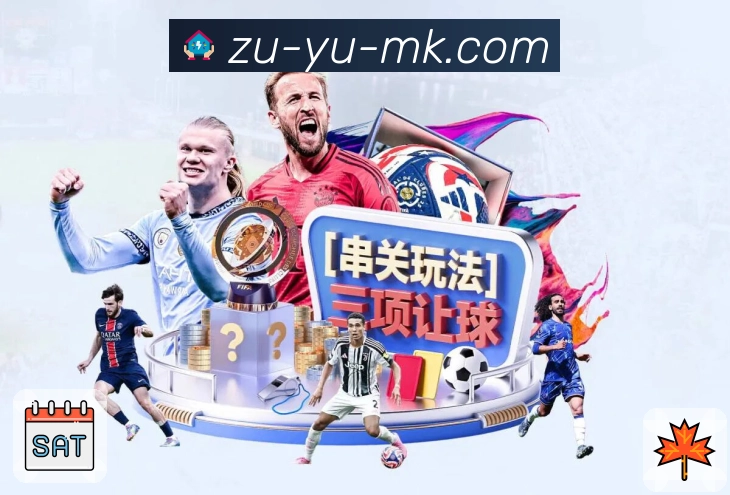 体育直播接口页面结构示意